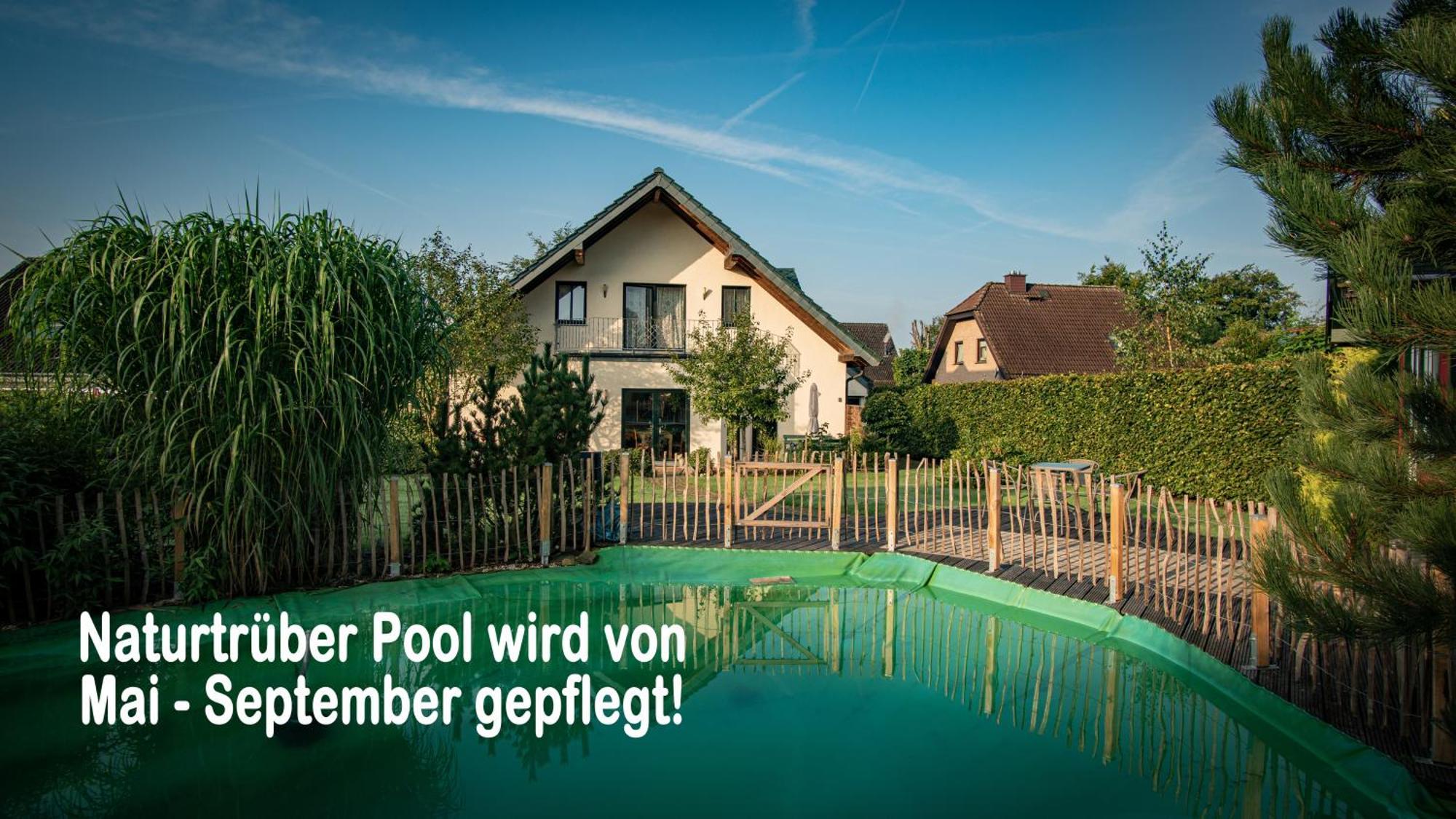 Ferienhaus Mountfrosch Mit Sauna Und Naturpool Monschau Buitenkant foto